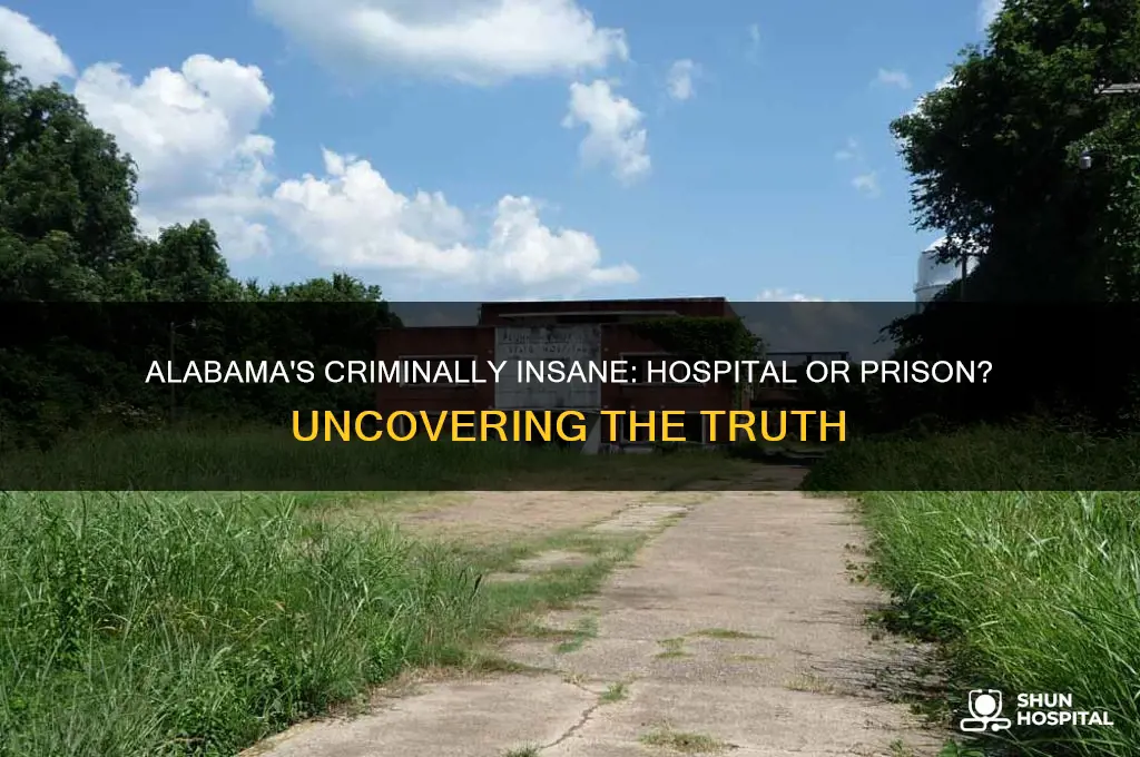 is there a prison for criminally insane in alabama hospital