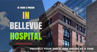 Bellevue Hospital: Prison Ward or Medical Center?