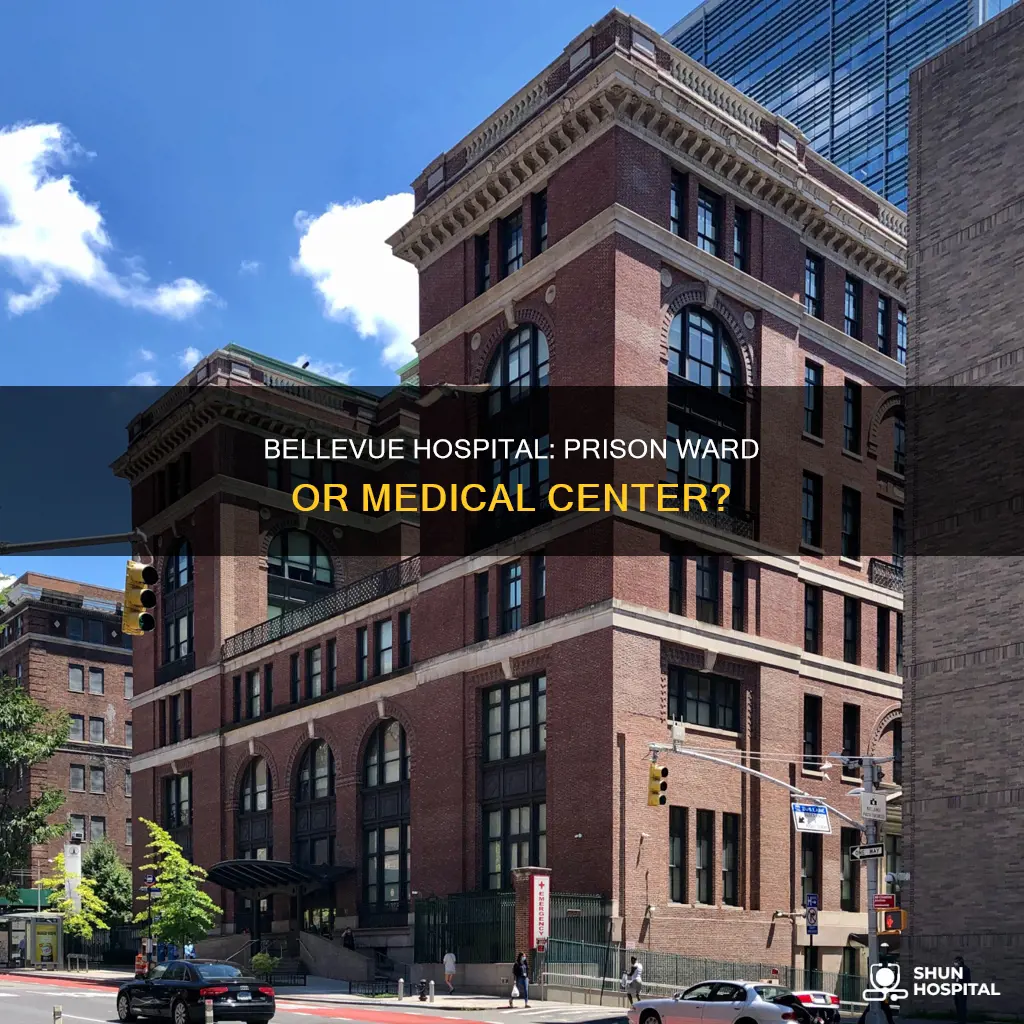 is there a prison in bellevue hospital