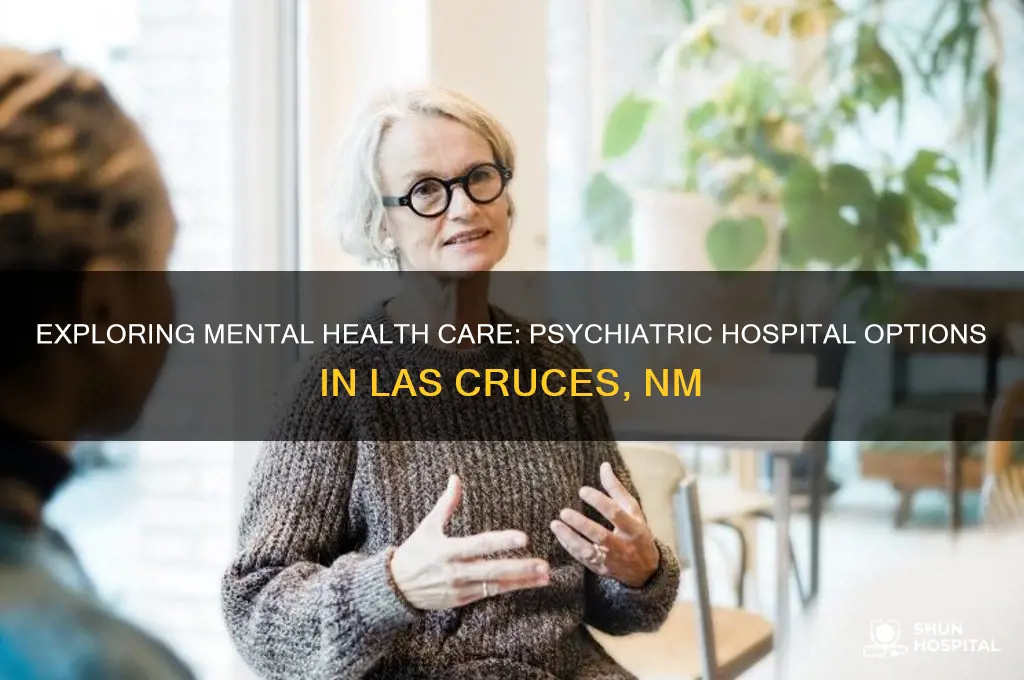 is there a psychiatric hospital in las cruces nm