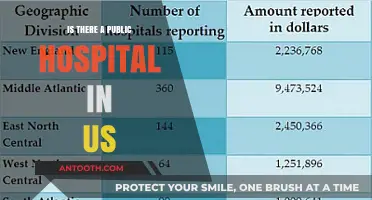 US Public Hospitals: Do They Exist?