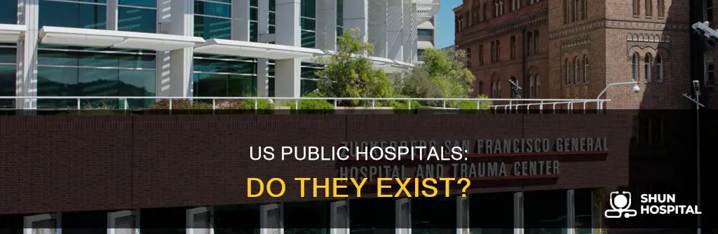 is there a public hospital in us