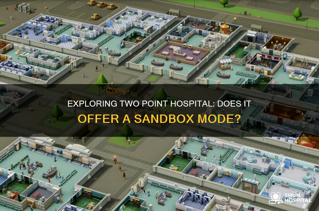 is there a sandbox mode in two point hospital