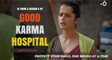 Good Karma Hospital Season 5: What's Next for the Series?