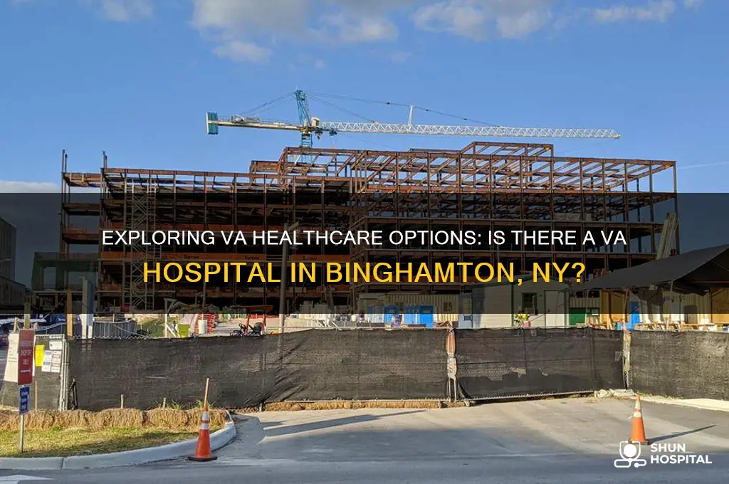 is there a va hospital in binghamton new york