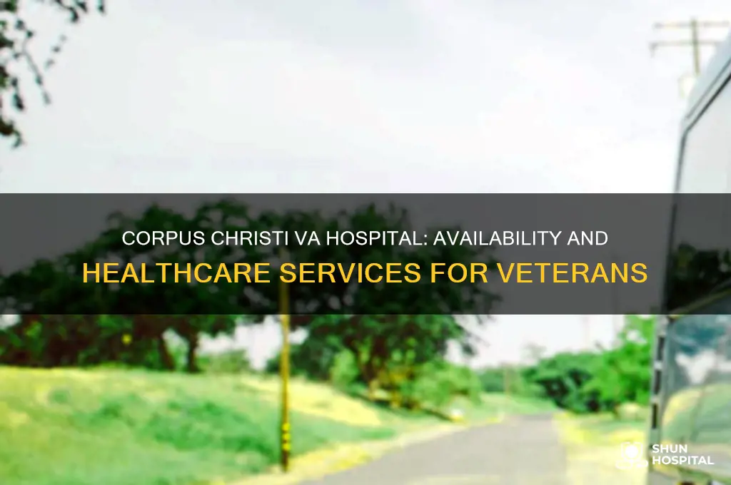 is there a va hospital in corpus christi texas