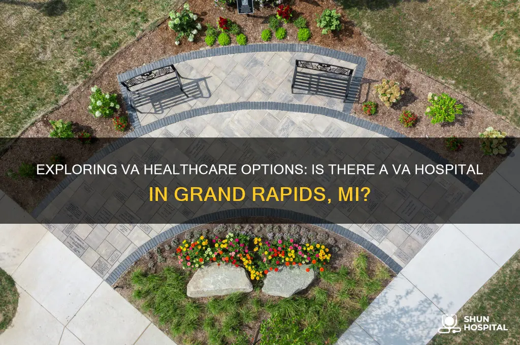 is there a va hospital in grand rapids mi