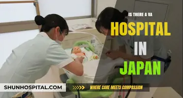 VA Hospitals: Japan's Veteran Healthcare Options