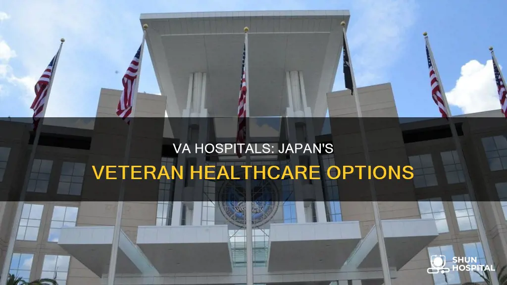 is there a va hospital in japan