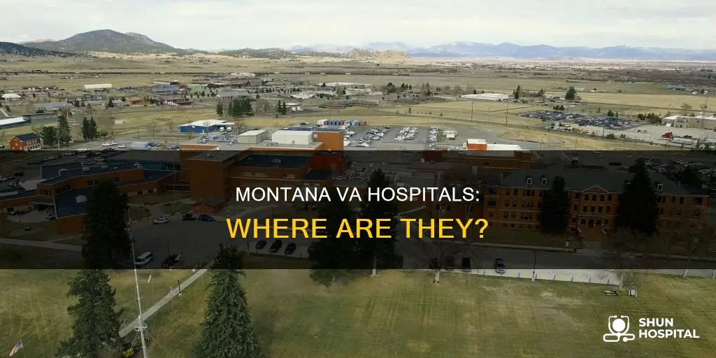 is there a va hospital in montana