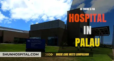 Palau's VA Hospital: What Veterans Need to Know