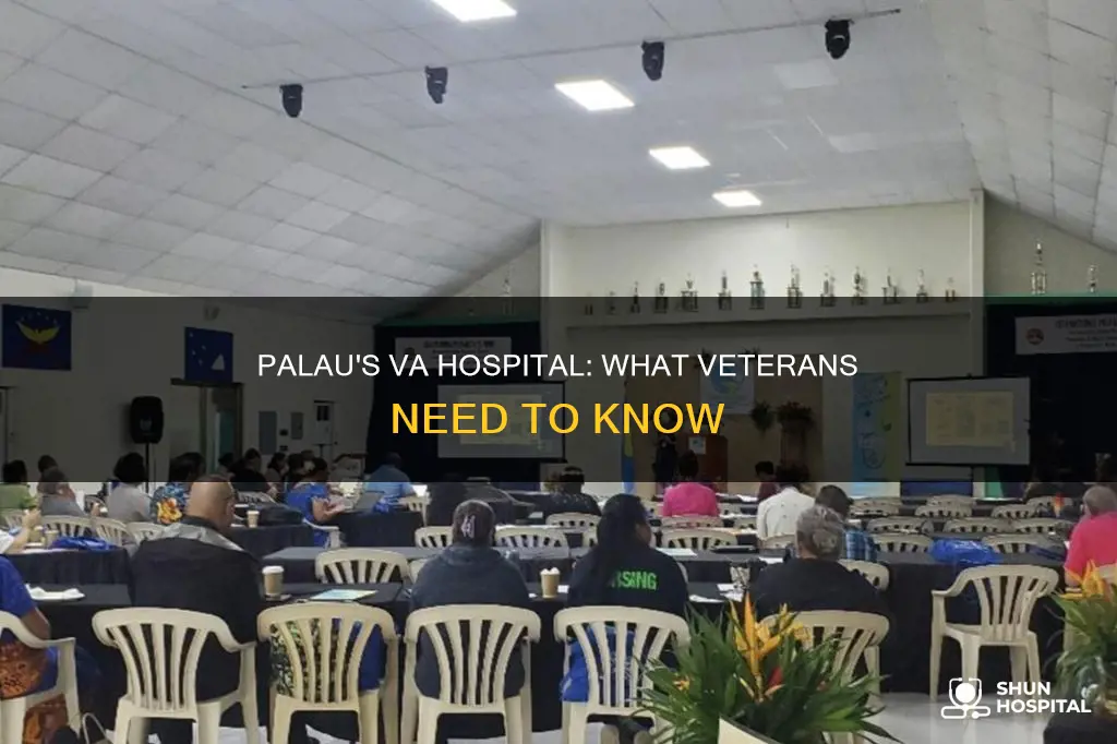 is there a va hospital in palau