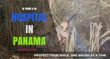 VA Hospitals: Panama's Veteran Healthcare
