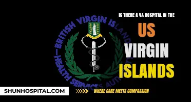 US Virgin Islands VA Hospital: Availability and Healthcare Options for Veterans