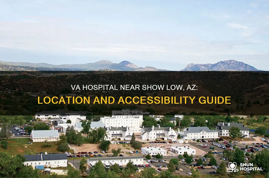 is there a va hospital near show low az