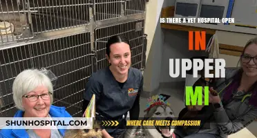 Finding Emergency Vet Care: Upper MI Open Vet Hospitals Guide