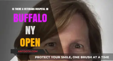 Buffalo NY Veterans Hospital: Current Status and Accessibility