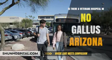 Veterans Hospital in No Gallus, Arizona: Fact or Fiction?