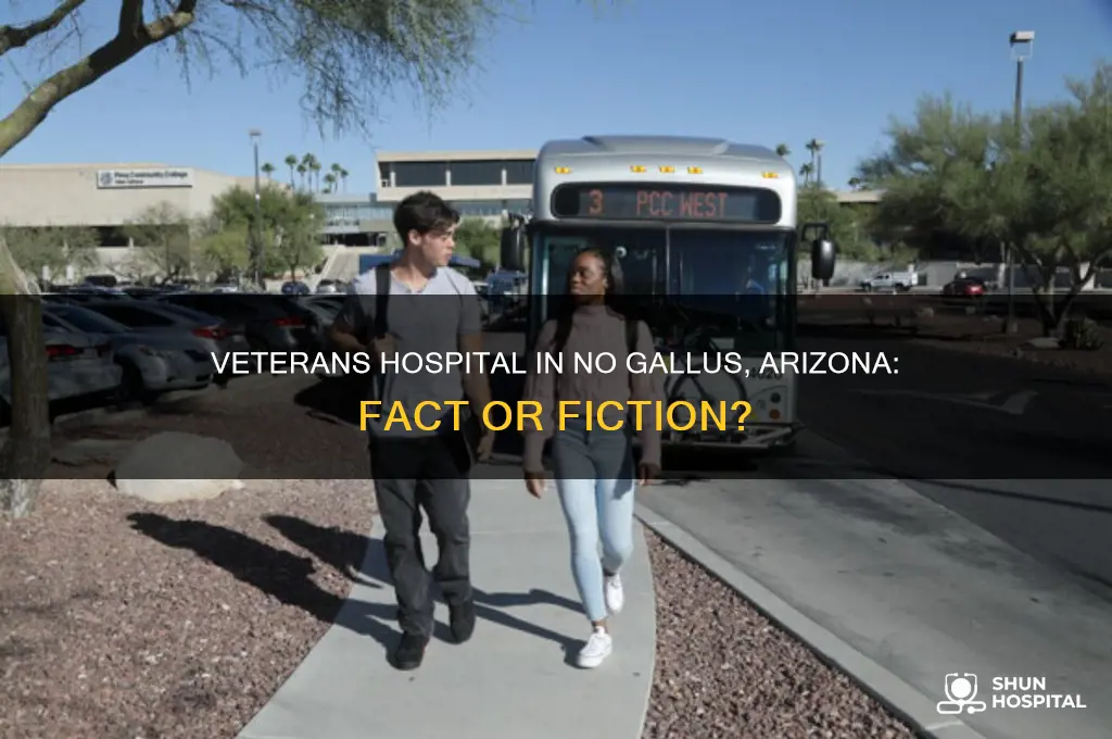 is there a veterans hospital in no gallus arizona
