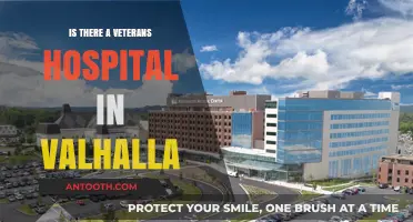 Valhalla's Veterans Hospital: Where Is It?