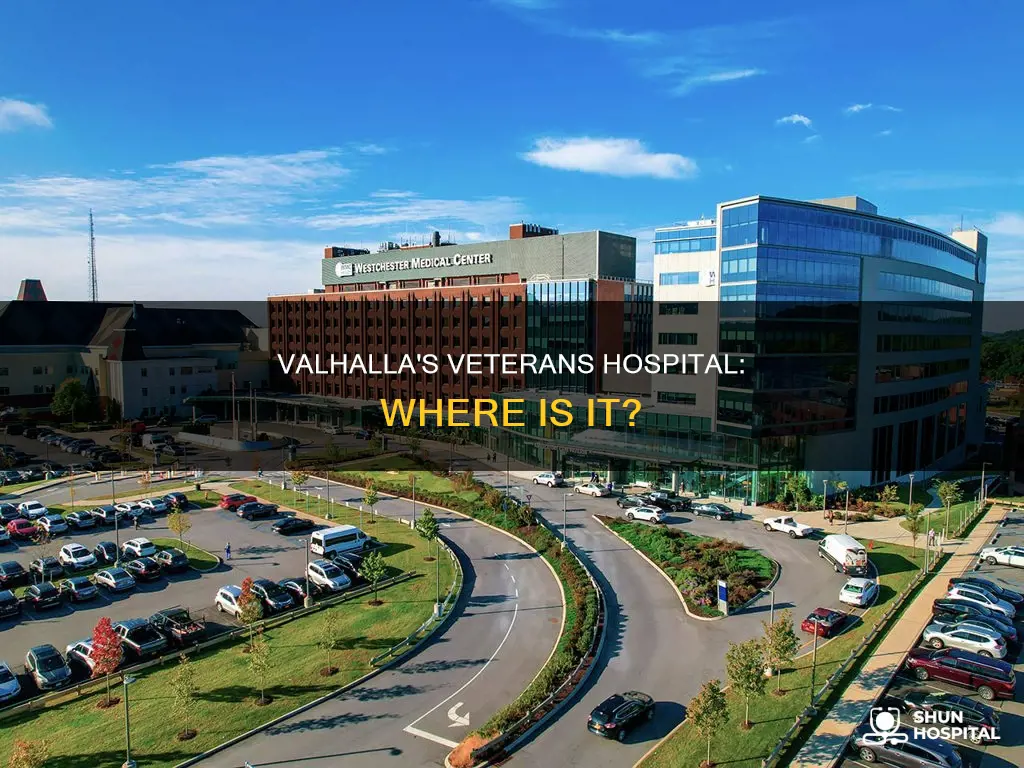 is there a veterans hospital in valhalla