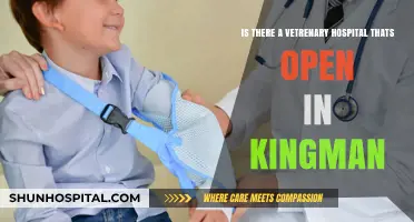 Kingman Veterinary Hospitals: Finding 24/7 Emergency Care for Your Pet