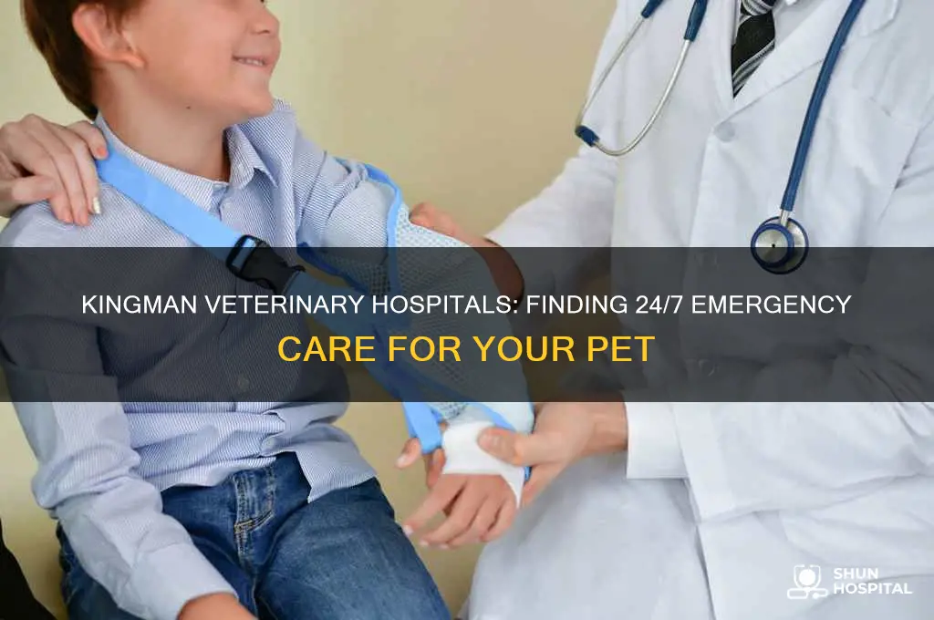 is there a vetrenary hospital thats open in kingman