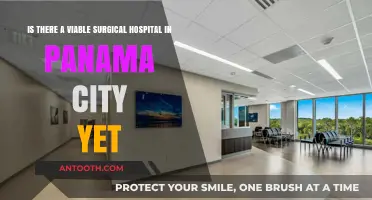 Exploring Panama City's Surgical Hospital Options: Viable Choices Available?