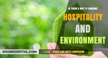 Sustainable Hospitality: Merging Eco-Friendly Practices with Exceptional Guest Experiences