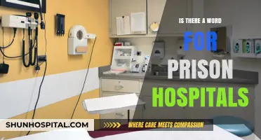 Prison Hospitals: What's in a Name?