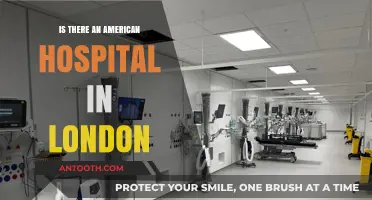 American Hospitals Abroad: London's Unique Healthcare Option