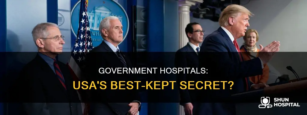 is there any government hospital in usa