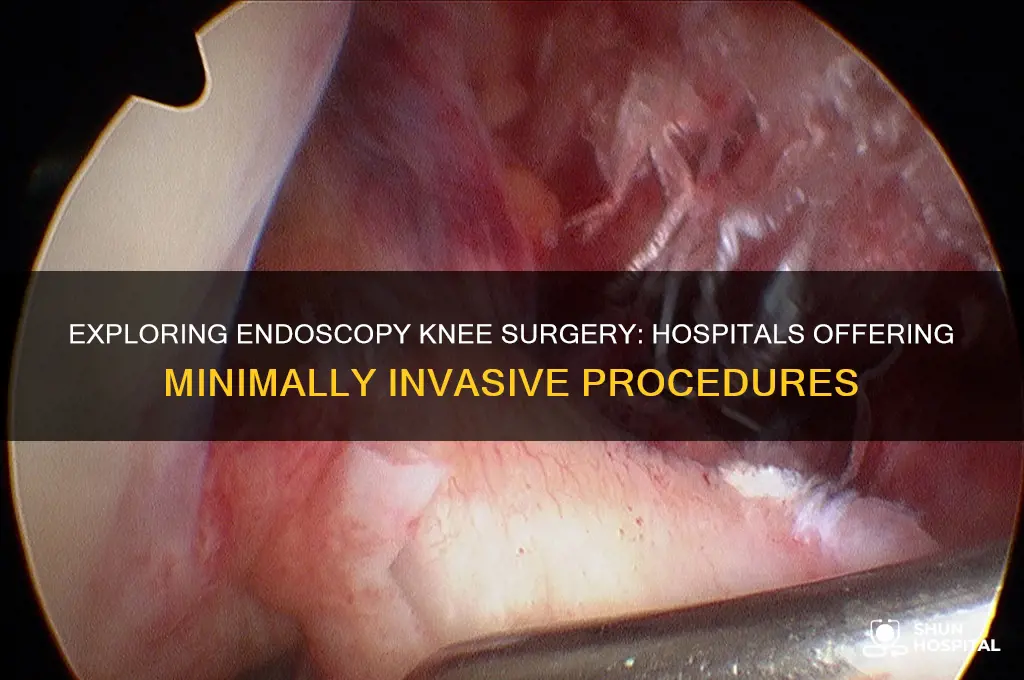 is there any hospital that does endoscopy knee surgery