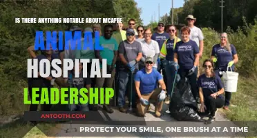 McAfee Animal Hospital Leadership: Notable Achievements and Innovations