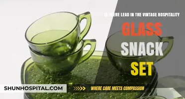 Vintage Hospitality Glass Snack Set: Uncovering Potential Lead Concerns