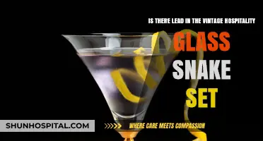 Vintage Hospitality Glass Snake Set: Uncovering Potential Lead Concerns
