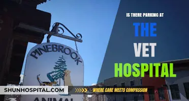Parking Availability at Vet Hospitals: What to Expect