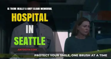 Does Grey Sloan Memorial Hospital Exist in Seattle? Fact or Fiction