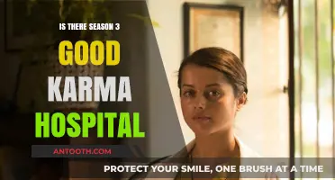 Good Karma Hospital: Is Season 3 Worth Watching?
