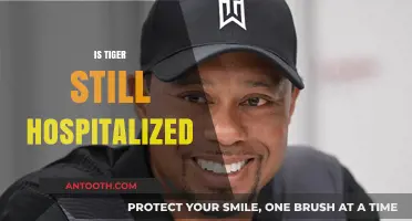 Tiger's Health Update: Is He Still Hospitalized After Recent Incident?