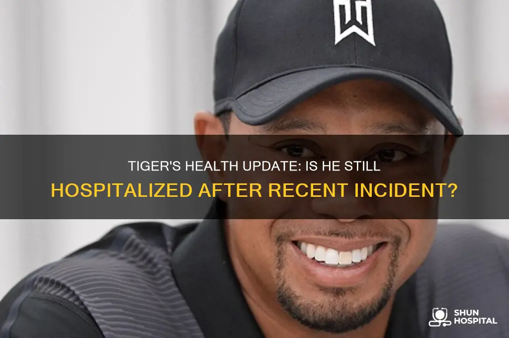 is tiger still hospitalized