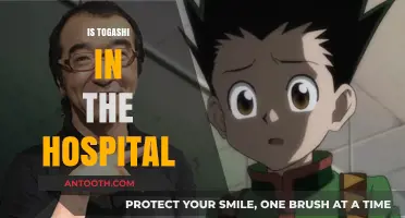 Is Togashi Hospitalized? Latest Updates on His Health and Recovery