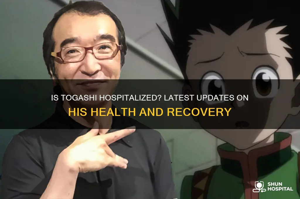 is togashi in the hospital