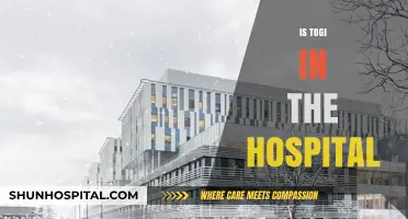 Is Togi in the Hospital? Latest Updates and Health Status