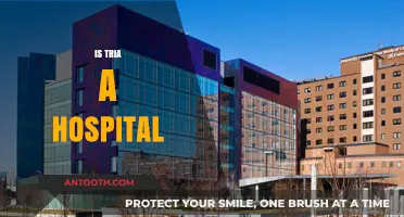 Is Tria a Hospital? Unraveling the Truth Behind the Name