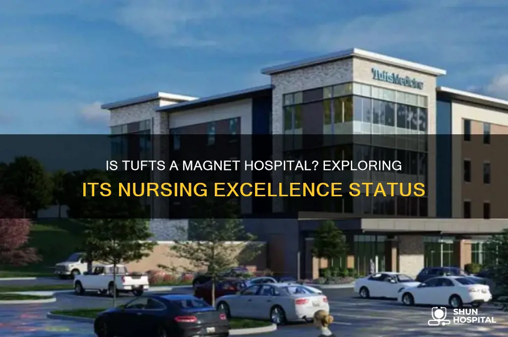 is tufts a magnet hospital