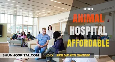 Is Tufts Animal Hospital Affordable? Cost Breakdown and Budget Tips