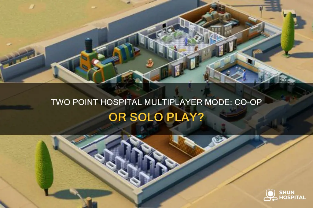 is two point hospital multiplayer