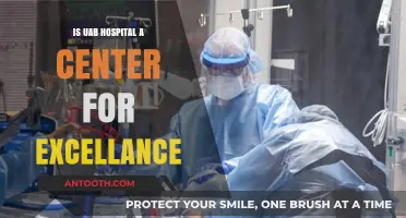 UAB Hospital: A Center of Excellence?