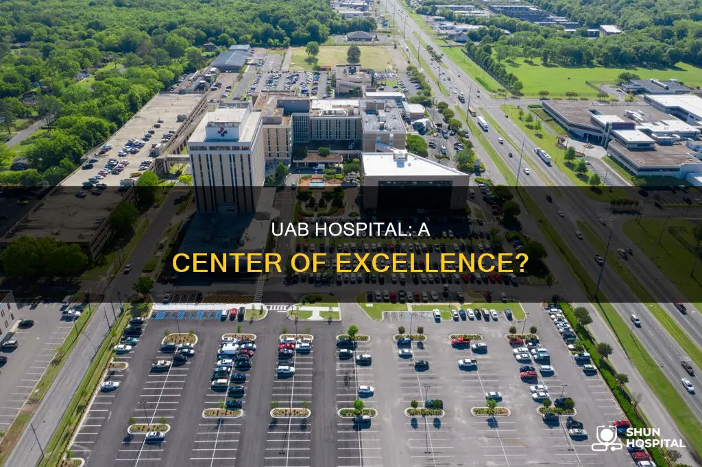 is uab hospital a center for excellance
